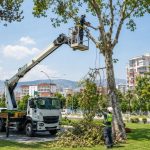 Peyzaj ve Ağaç Budama İşlerinde Sepetli Vinç Çözümleri